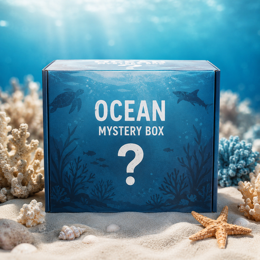 Ocean Mystery Box